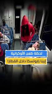 فيديو مقتل الفتاة الأوكرانية إيرينا زاروتسكا في أمريكا داخل القطار يهز مواقع التواصل