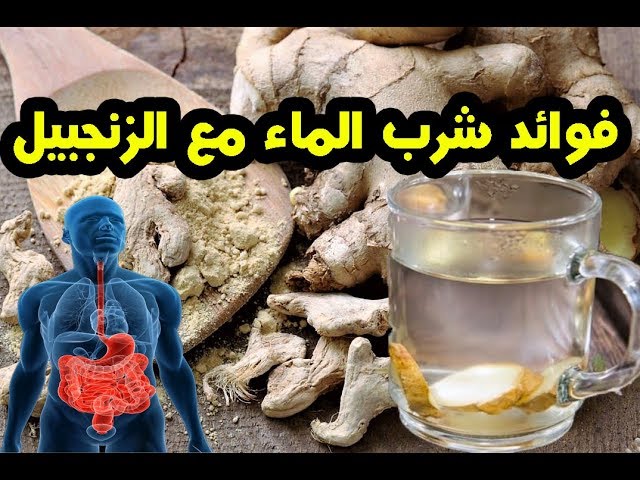 إضافة الزنجبيل إلى كوب الماء الدافئ سر الصحة والجمال في 2025