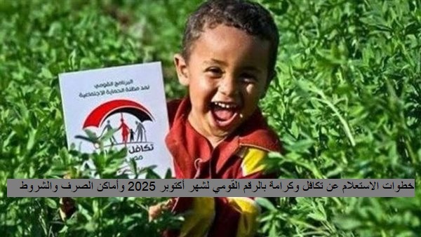 خطوات الاستعلام عن تكافل وكرامة بالرقم القومي لشهر أكتوبر 2025 وأماكن الصرف والشروط