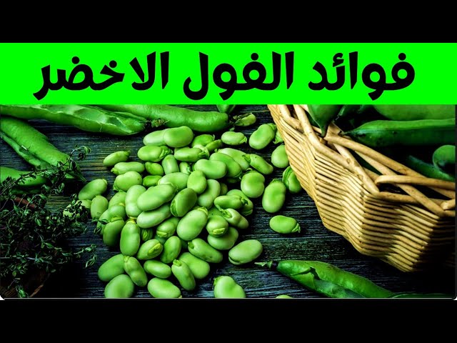 فوائد الفول الأخضر المدهشة لصحة الجسم والدماغ 2025